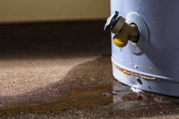 Best Residential water damage restoration  in South Pasadena, FL