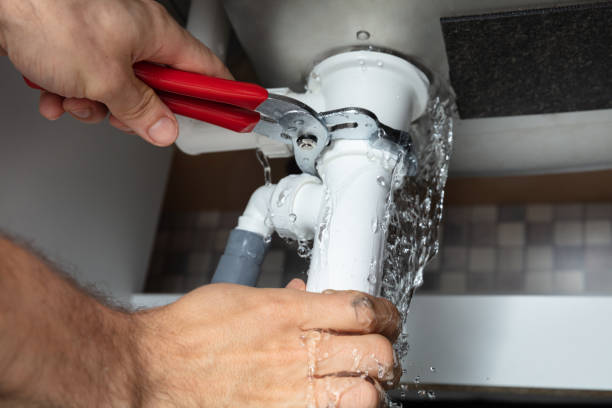 Best Ceiling water damage repair  in South Pasadena, FL