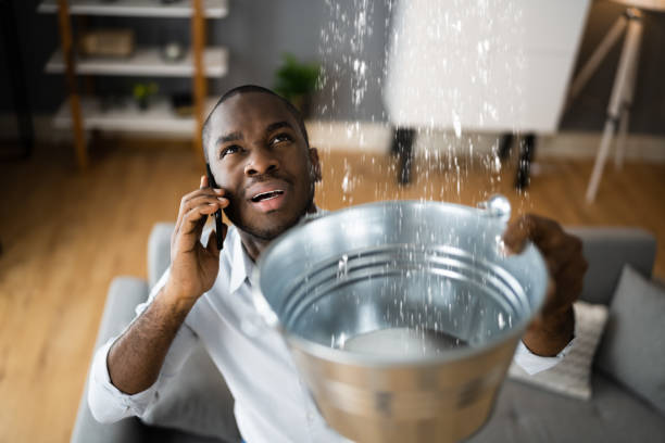 Best Water damage contractors near me  in South Pasadena, FL