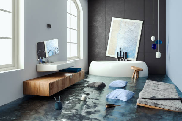 Best Flood damage cleanup  in South Pasadena, FL