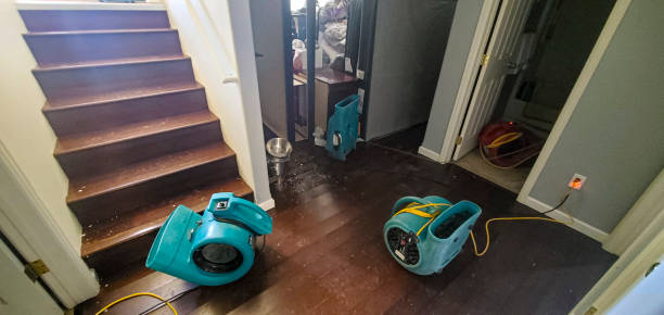 Best Basement water damage restoration  in South Pasadena, FL