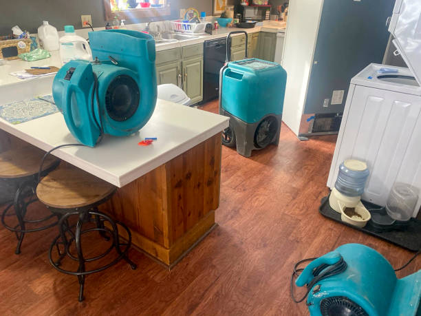  South Pasadena, FL Water damage restoration Pros