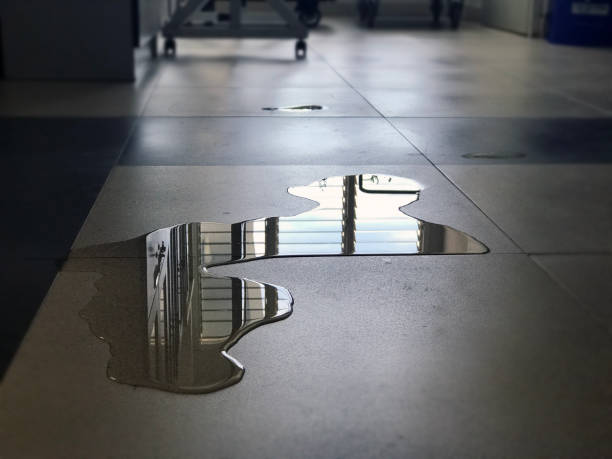 Best Water damage restoration process  in South Pasadena, FL