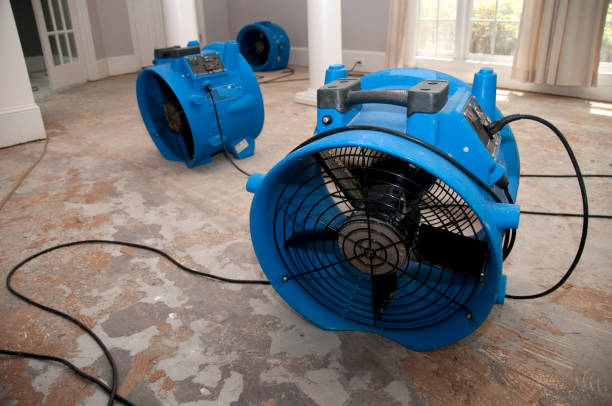 Best Water damage restoration near me  in South Pasadena, FL