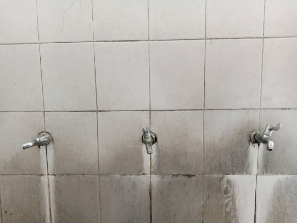 Best Emergency water extraction  in South Pasadena, FL
