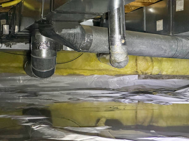 Best Water damage restoration company  in South Pasadena, FL