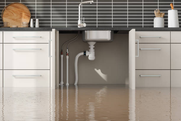 Best 24/7 water damage repair  in South Pasadena, FL