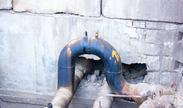 Best Sewage cleanup and water damage restoration  in South Pasadena, FL