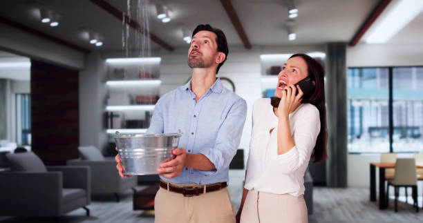 Best Water damage cleanup near me  in South Pasadena, FL