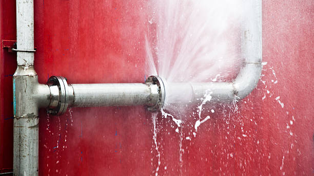 Best Water damage mitigation services  in South Pasadena, FL
