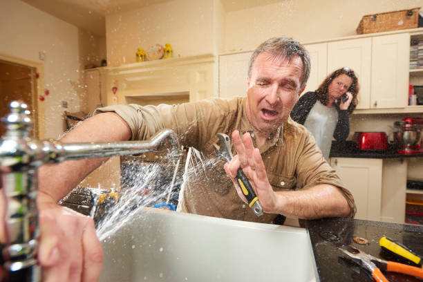 Best Commercial water damage restoration  in South Pasadena, FL